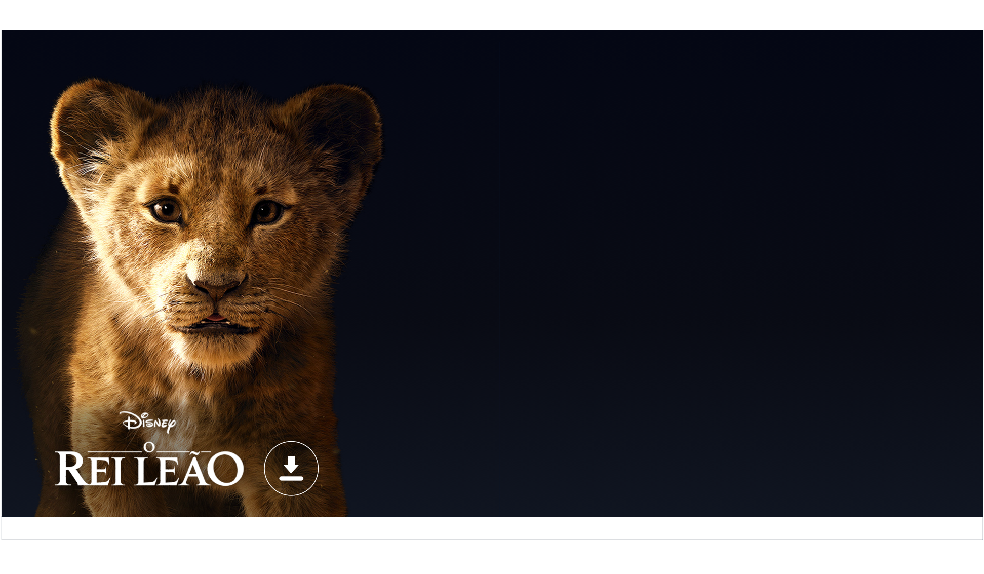 Imagem com Rei Leão